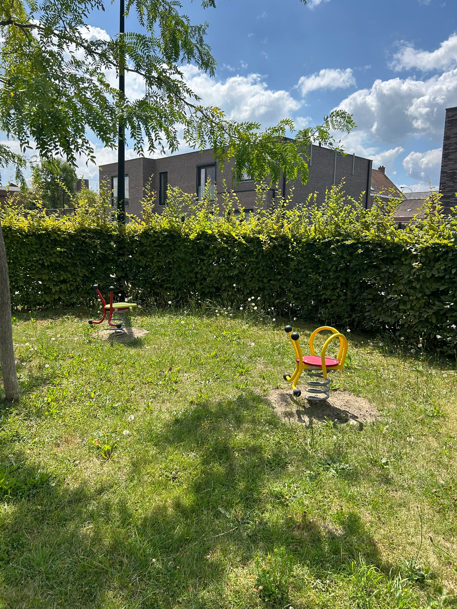 Wiebeldiertjes