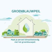 groenblauwpeil