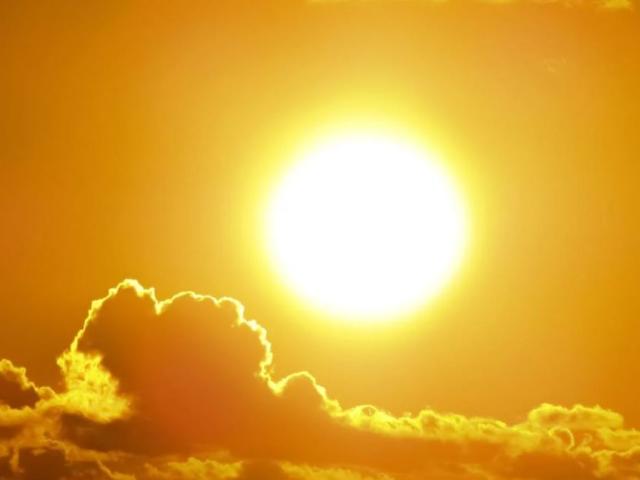 zon