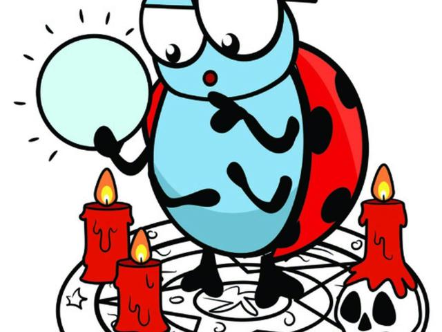 Zwarte magie Ruien (2-6/11/2026) © Kriebelkampen / Creafant vzw