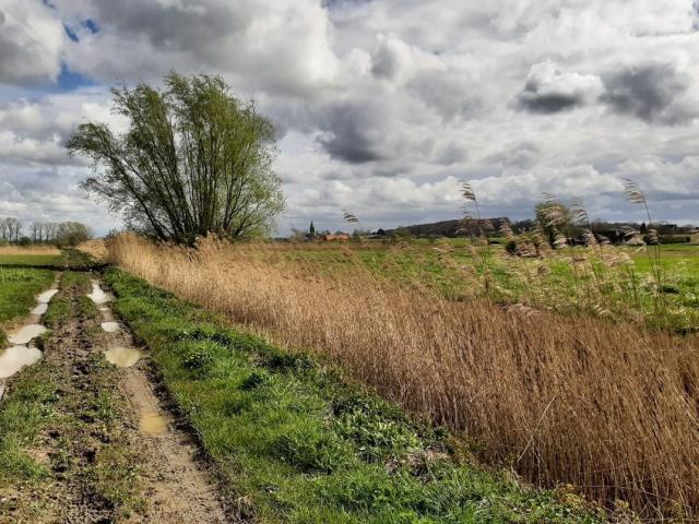 Met een maaiersontbijt de Meersen in © Stones and Stories