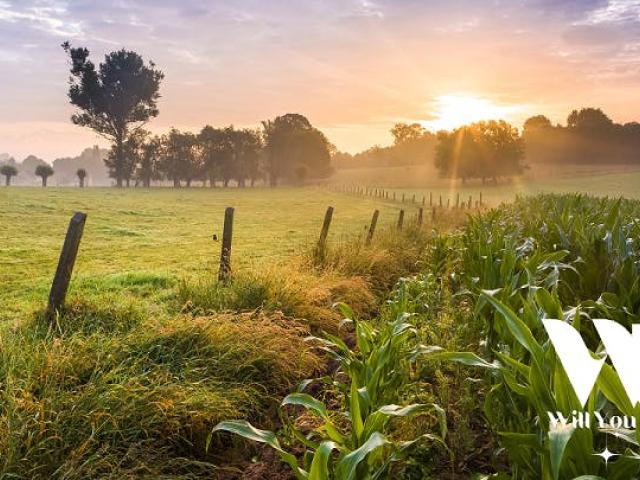 Panorama Wandeling voor Singles in Kwaremont © Will you date me