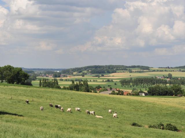 Landschaps- en natuurwandeling, Ulrich Libbrechtwandeling © Filip Kierse