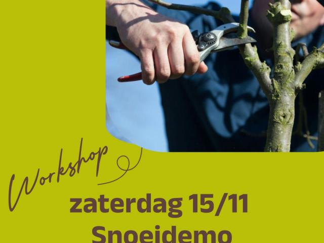Snoeidemo Fruitbomen © RLVAD