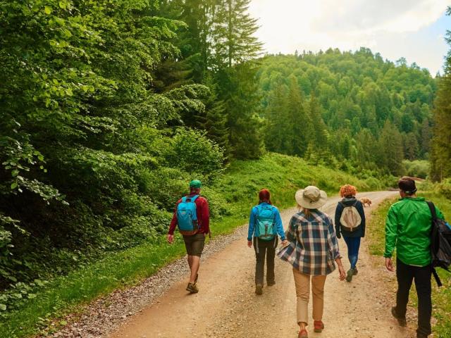 Opleiding tot gecertificeerd Natuurcoach © NextStep Coaching