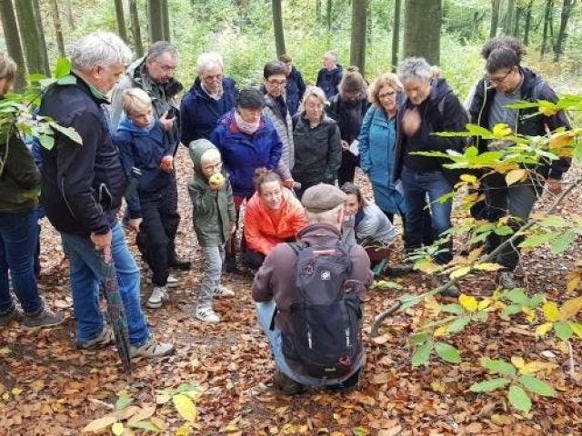 Paddenstoelentocht in het Kluisbos © Lucia Decuyper