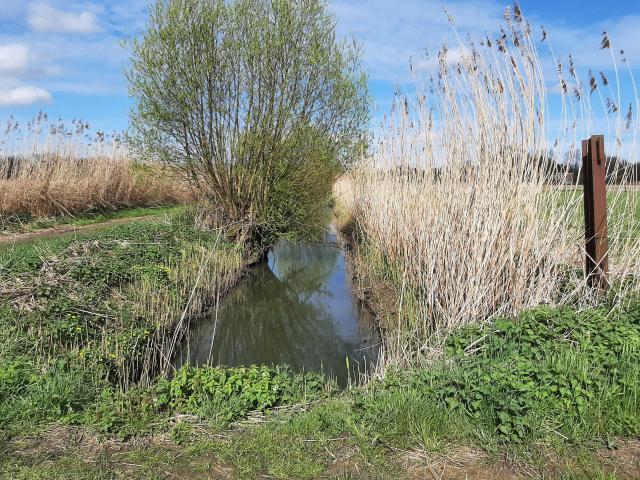 Met een maaiersontbijt de meersen in © Stones and Stories
