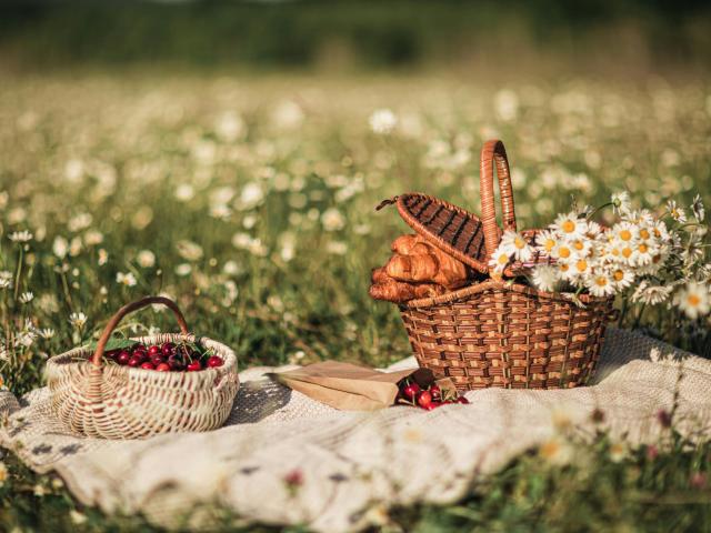 Midzomer avondpicknick + kinderworkshop 'natuuramuletten maken' © z.n.